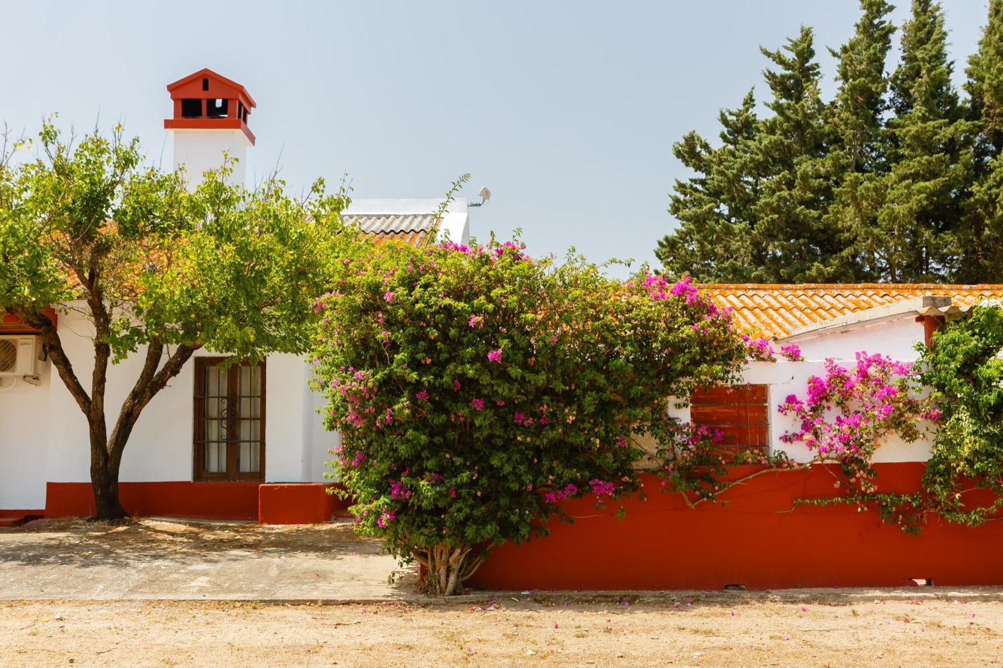 Casa Dehesa De Las Yeguas Кадіс Екстер'єр фото
